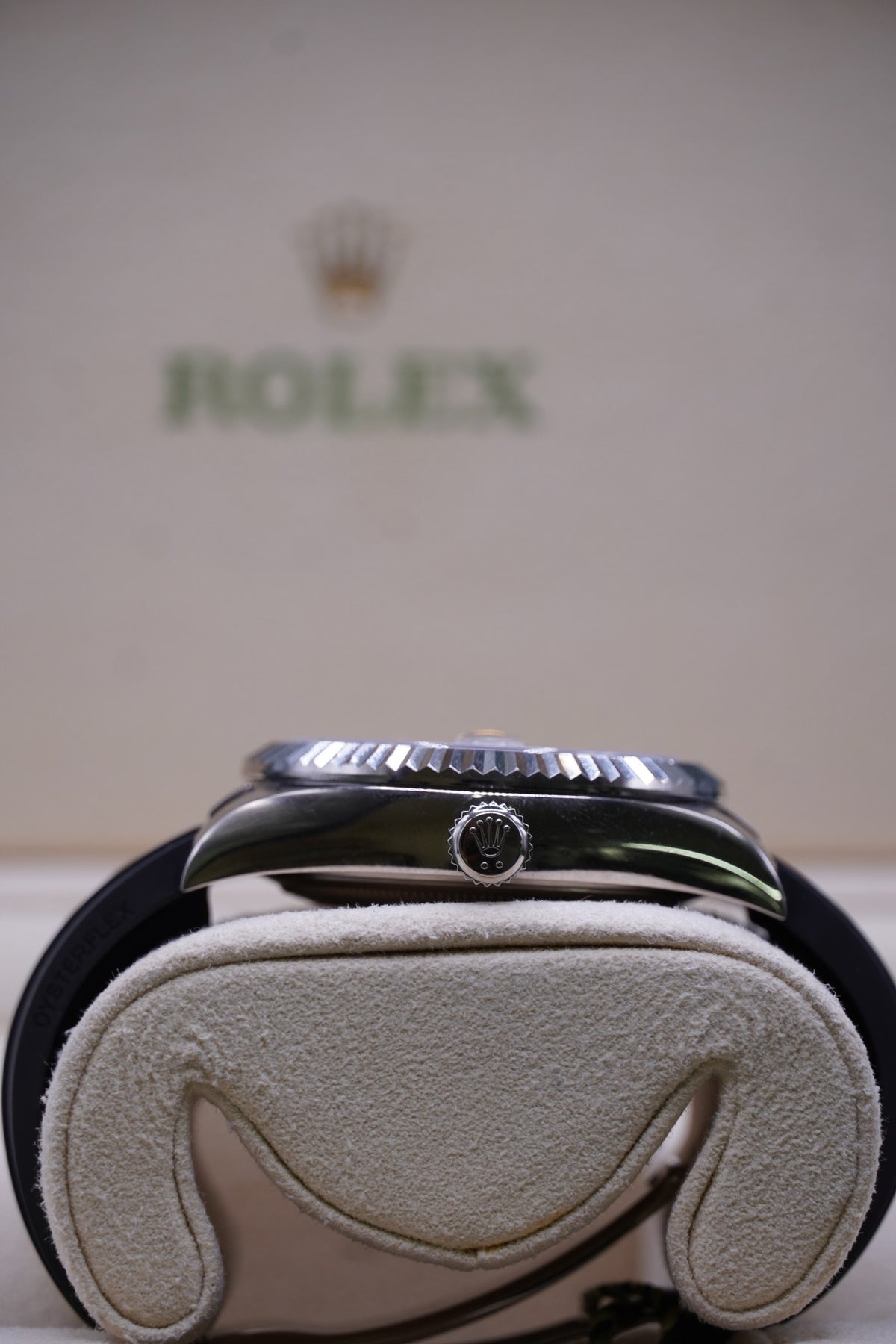 Rolex White Gold Sky-Dweller (2025)